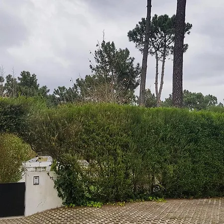 Willa Aroeira Paradise Vila By Host-point